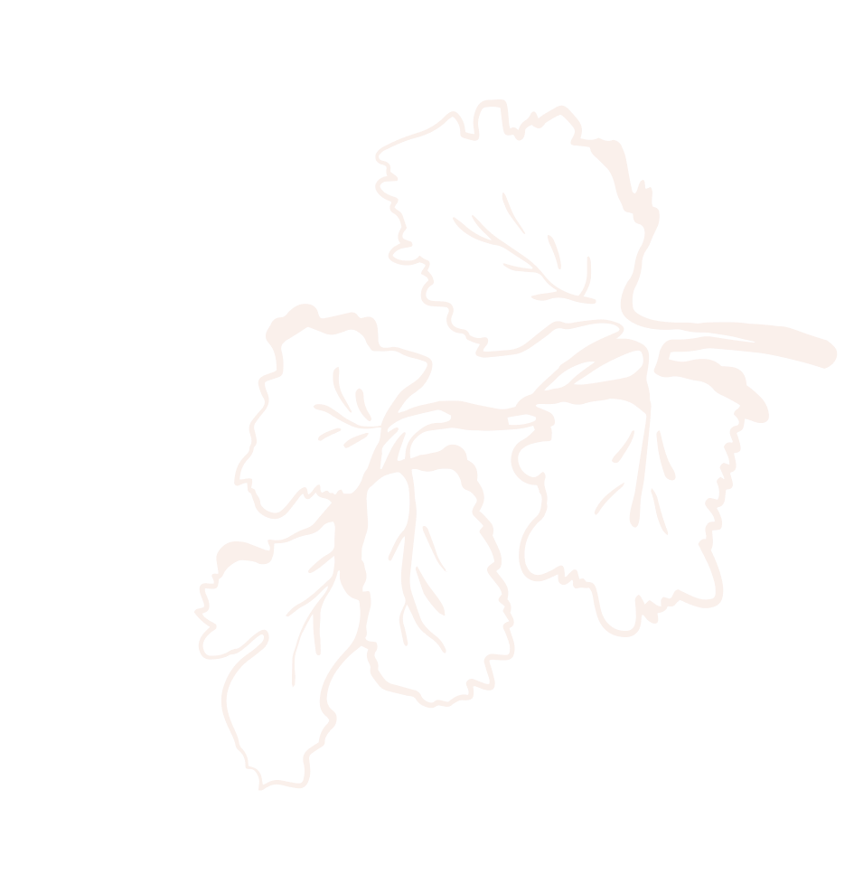 Why Work at Eggstatic?